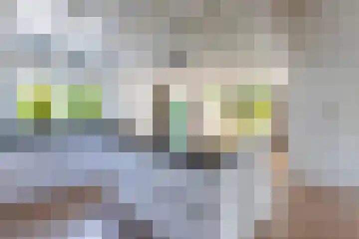 Seerp van Galemawei 9 Mantgum thumbnail 10