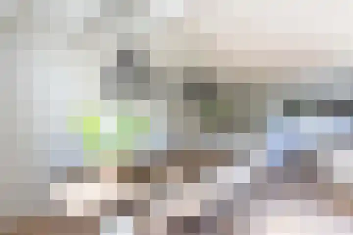 Seerp van Galemawei 9 Mantgum thumbnail 15
