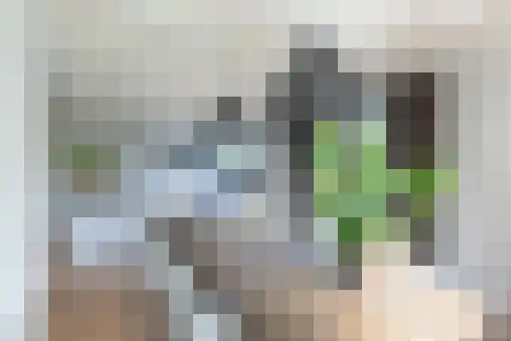 Seerp van Galemawei 9 Mantgum thumbnail 16