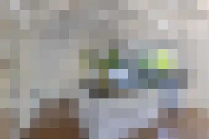Seerp van Galemawei 9 Mantgum thumbnail 18
