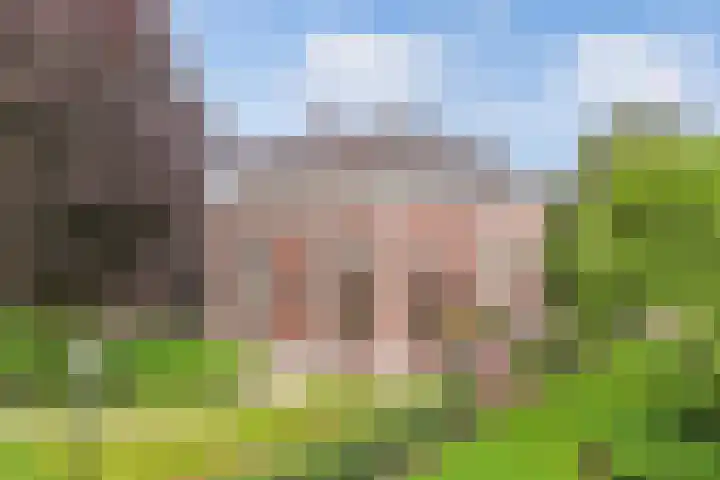Seerp van Galemawei 9 Mantgum foto 2
