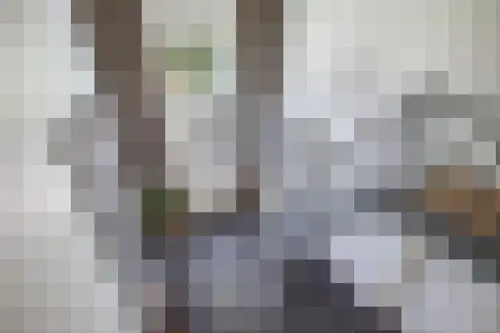 Seerp van Galemawei 9 Mantgum thumbnail 23