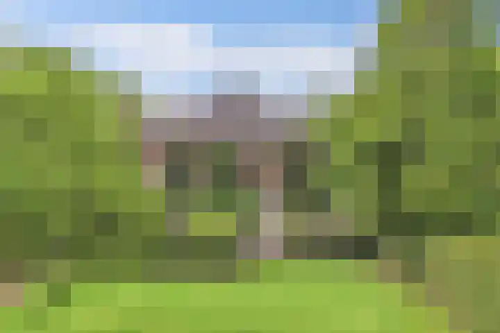 Seerp van Galemawei 9 Mantgum foto 3