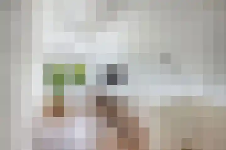 Seerp van Galemawei 9 Mantgum thumbnail 32