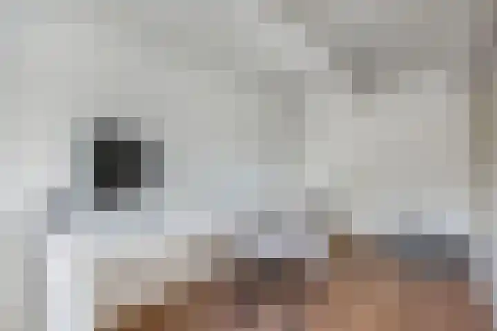Seerp van Galemawei 9 Mantgum thumbnail 33
