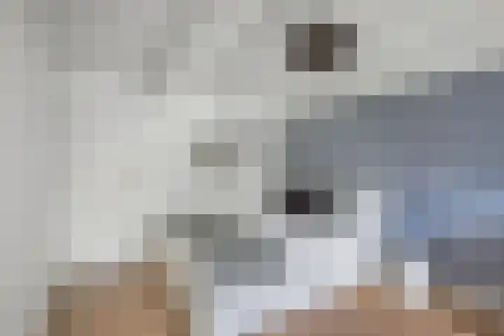Seerp van Galemawei 9 Mantgum thumbnail 34