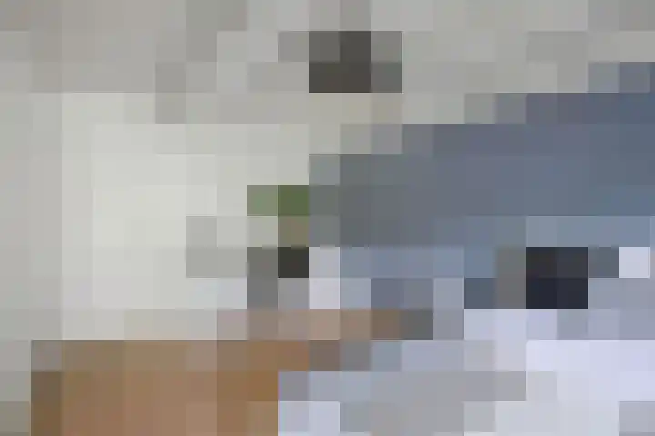 Seerp van Galemawei 9 Mantgum thumbnail 36