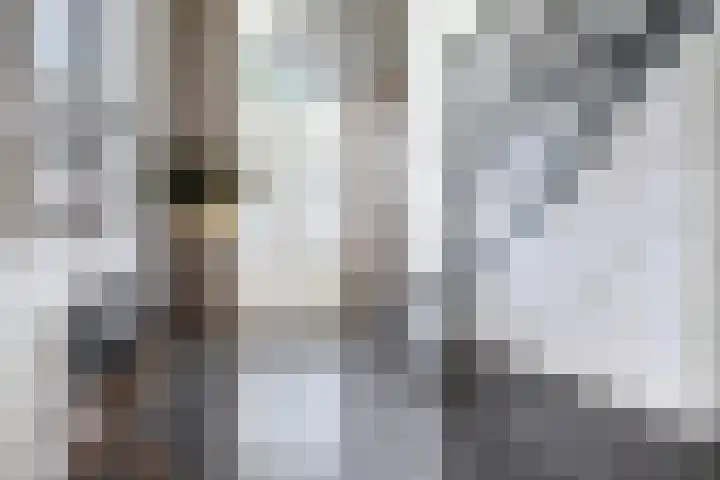 Seerp van Galemawei 9 Mantgum thumbnail 4