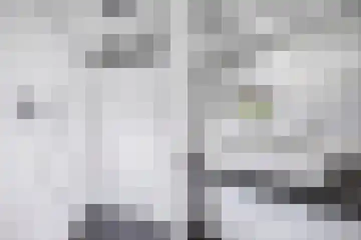 Seerp van Galemawei 9 Mantgum thumbnail 41