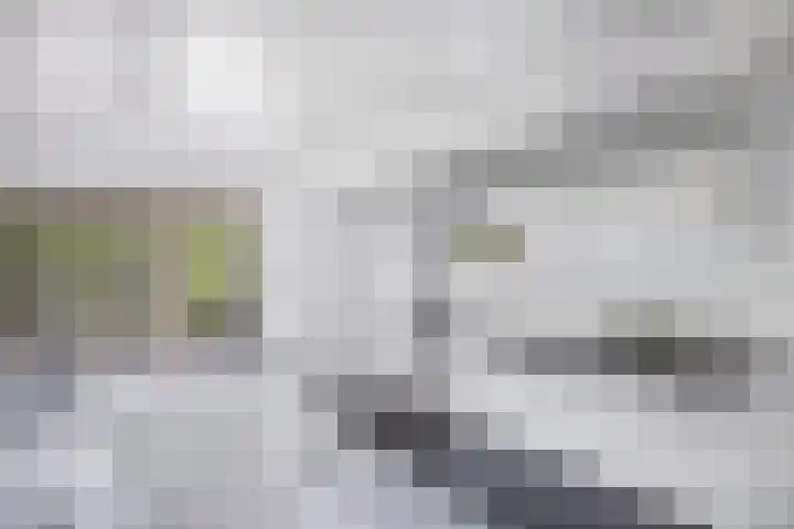 Seerp van Galemawei 9 Mantgum thumbnail 42