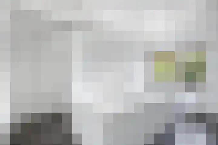 Seerp van Galemawei 9 Mantgum thumbnail 43