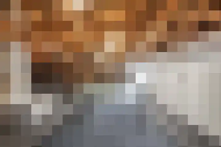 Seerp van Galemawei 9 Mantgum thumbnail 46