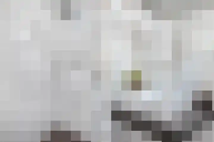 Seerp van Galemawei 9 Mantgum thumbnail 51