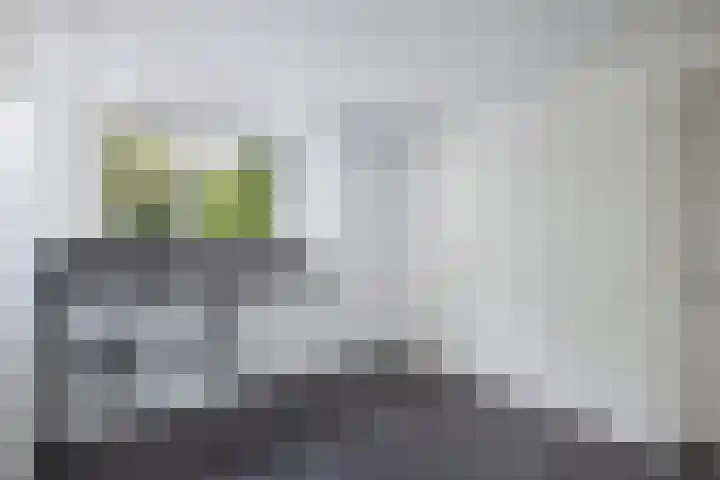Seerp van Galemawei 9 Mantgum thumbnail 54