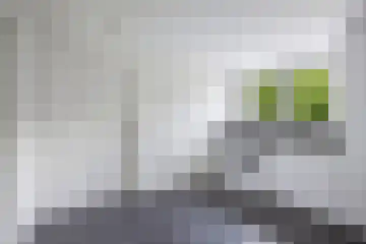 Seerp van Galemawei 9 Mantgum thumbnail 55