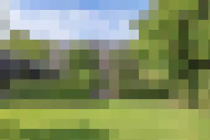 Seerp van Galemawei 9 Mantgum thumbnail 58