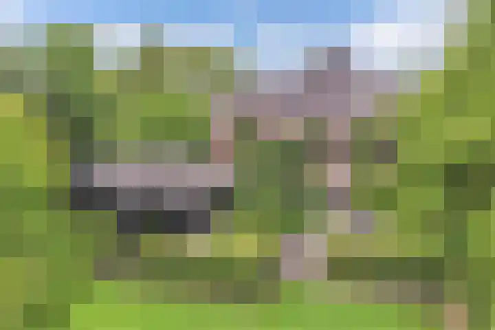 Seerp van Galemawei 9 Mantgum thumbnail 60