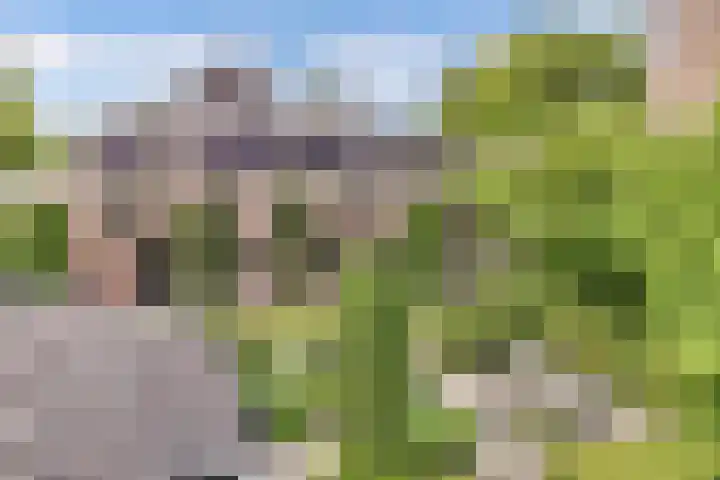 Seerp van Galemawei 9 Mantgum thumbnail 61