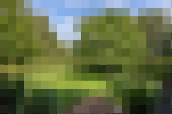 Seerp van Galemawei 9 Mantgum thumbnail 63