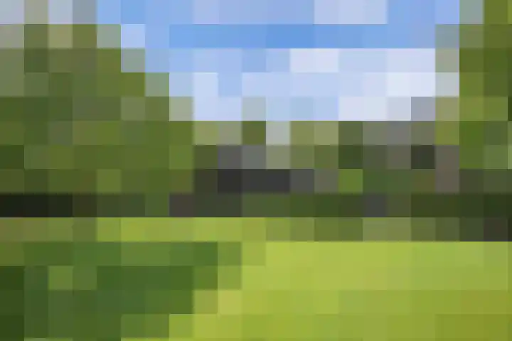 Seerp van Galemawei 9 Mantgum thumbnail 64
