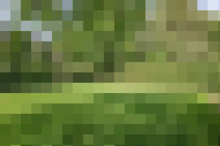Seerp van Galemawei 9 Mantgum thumbnail 65