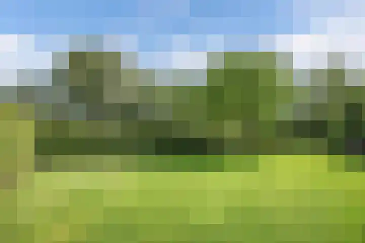 Seerp van Galemawei 9 Mantgum thumbnail 66