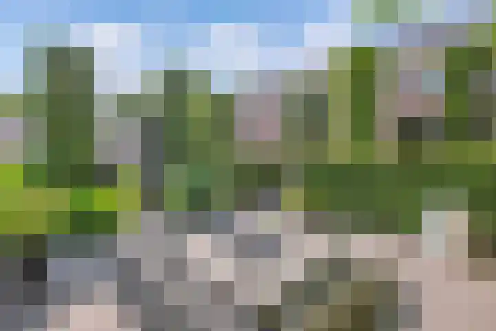 Seerp van Galemawei 9 Mantgum thumbnail 67