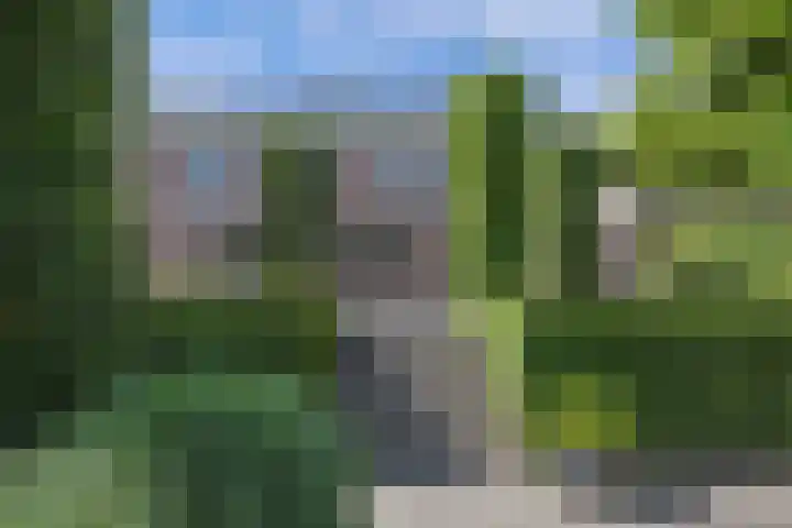 Seerp van Galemawei 9 Mantgum thumbnail 68