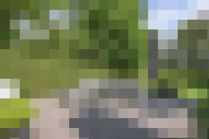 Seerp van Galemawei 9 Mantgum thumbnail 69
