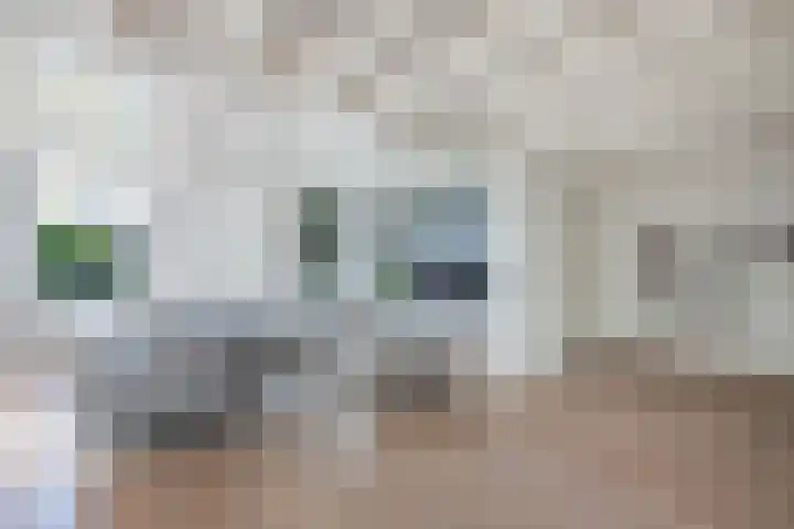Seerp van Galemawei 9 Mantgum thumbnail 7