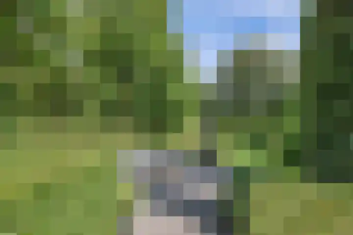 Seerp van Galemawei 9 Mantgum thumbnail 70