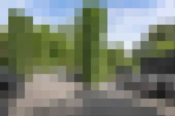 Seerp van Galemawei 9 Mantgum thumbnail 73