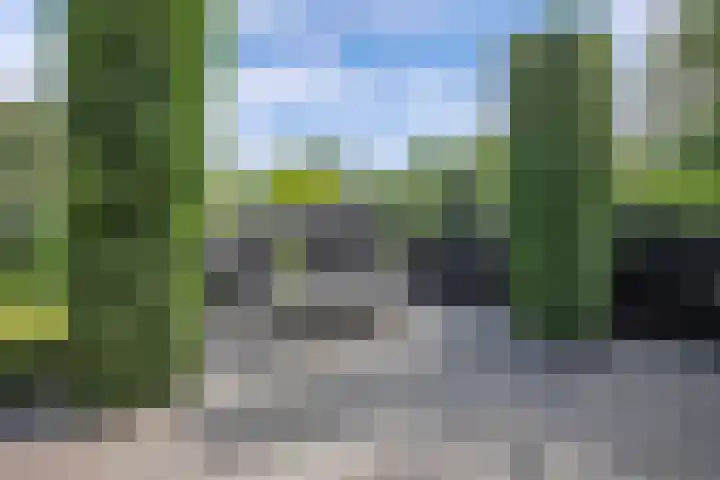 Seerp van Galemawei 9 Mantgum thumbnail 74