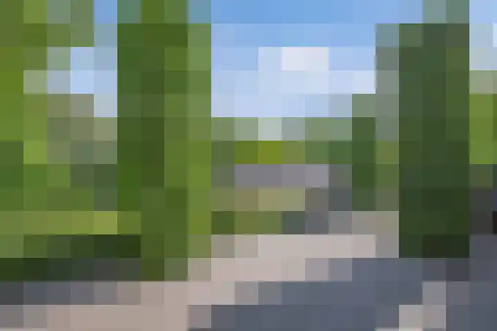 Seerp van Galemawei 9 Mantgum thumbnail 76