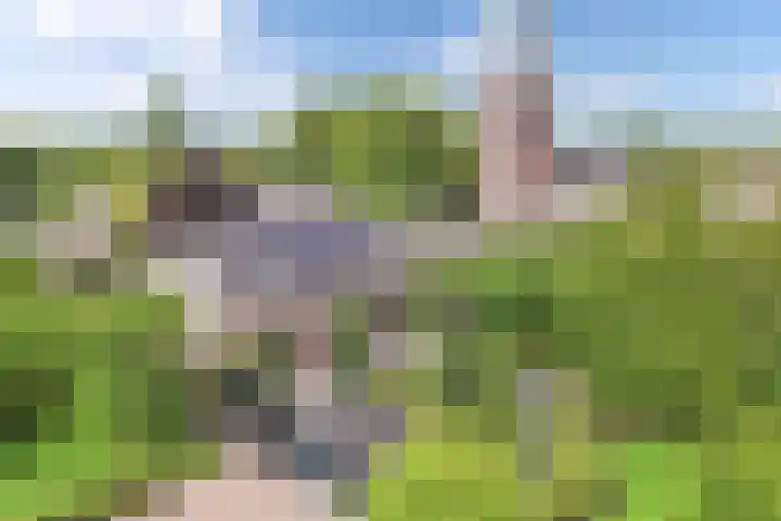 Seerp van Galemawei 9 Mantgum thumbnail 82