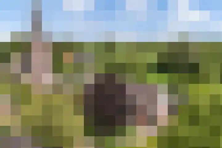 Seerp van Galemawei 9 Mantgum thumbnail 84