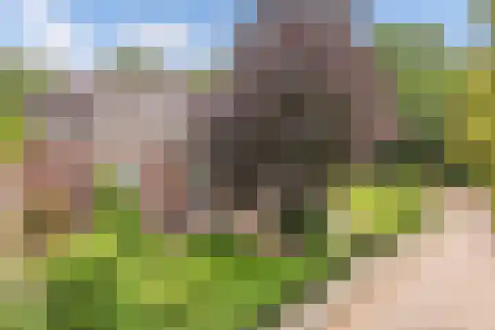 Seerp van Galemawei 9 Mantgum thumbnail 85