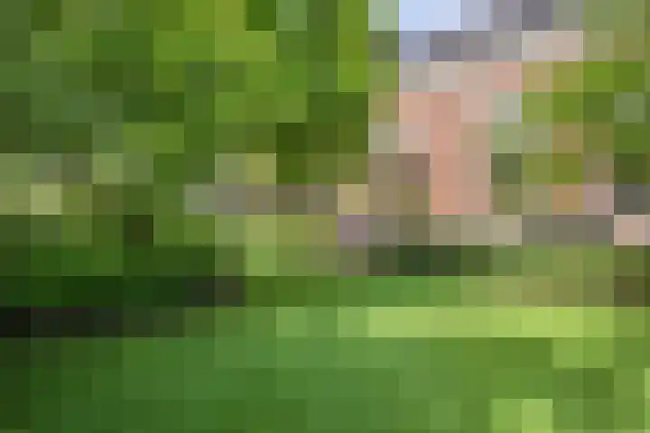 Seerp van Galemawei 9 Mantgum thumbnail 86