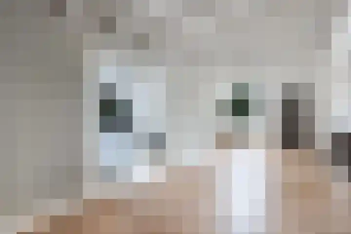 Seerp van Galemawei 9 Mantgum thumbnail 9