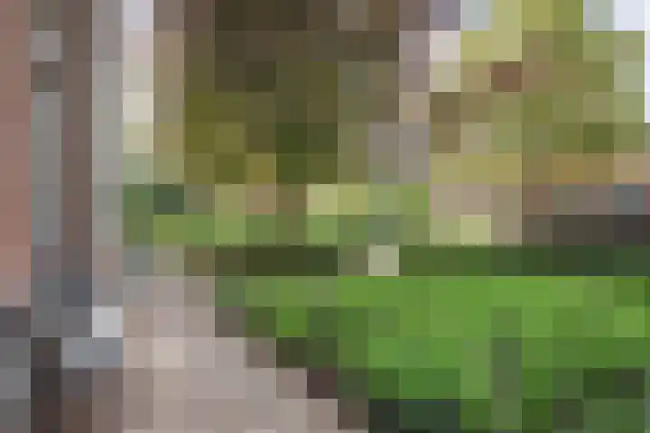 Seerp van Galemawei 9 Mantgum thumbnail 91