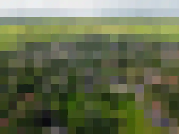 Seerp van Galemawei 9 Mantgum thumbnail 94