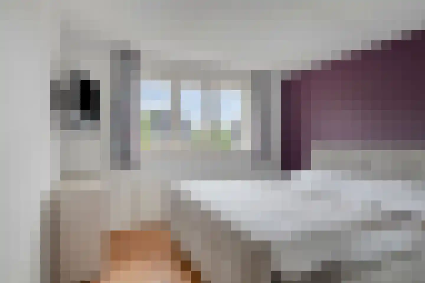 Seesinkbeeklaan 9 Terborg thumbnail 23