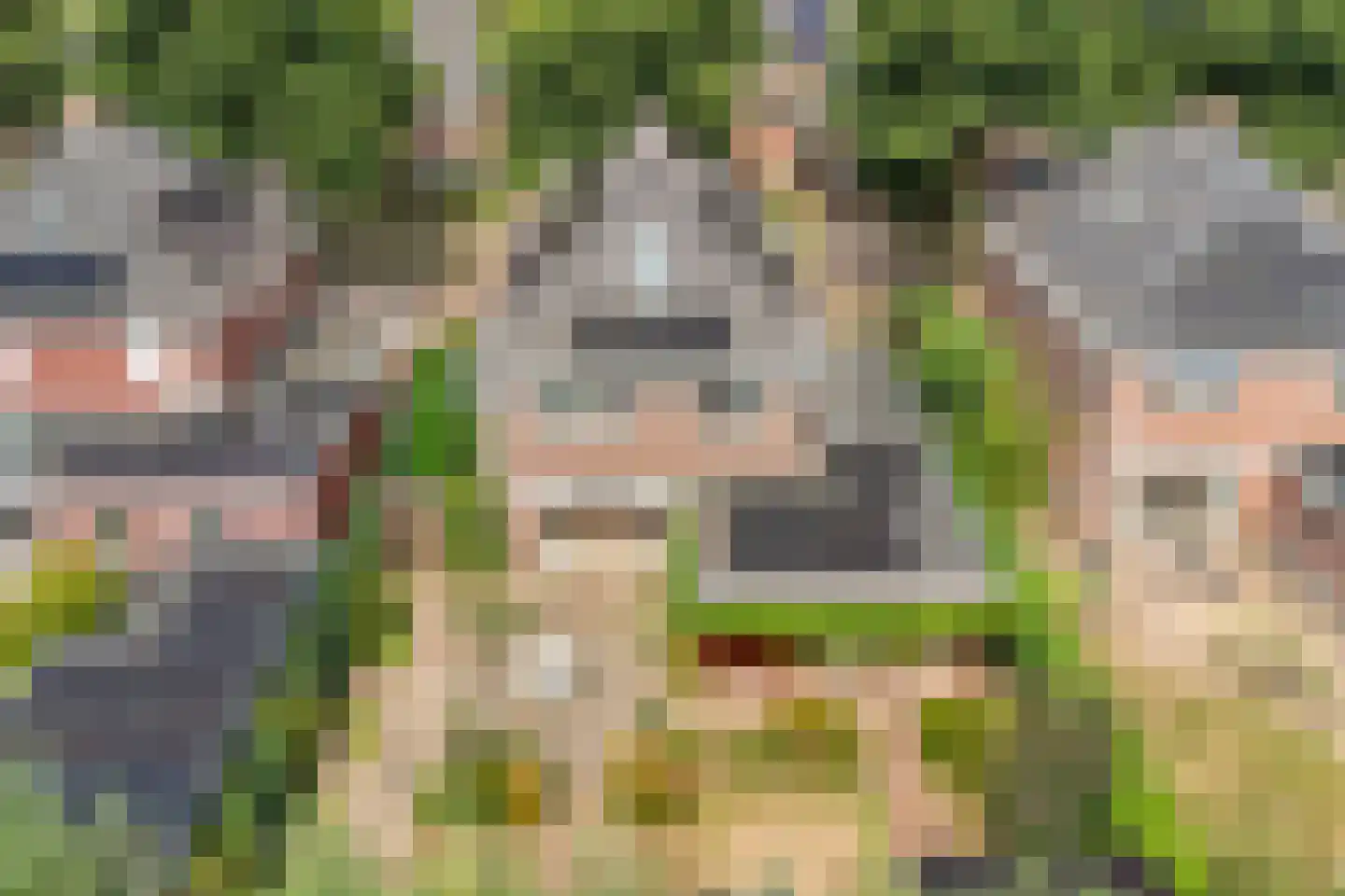 Seesinkbeeklaan 9 Terborg foto 3