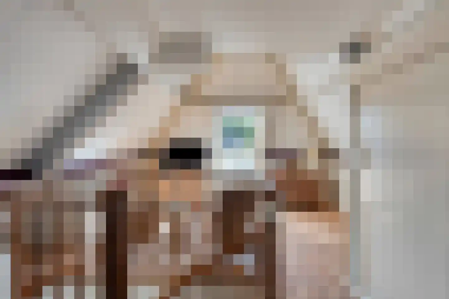 Seesinkbeeklaan 9 Terborg thumbnail 34