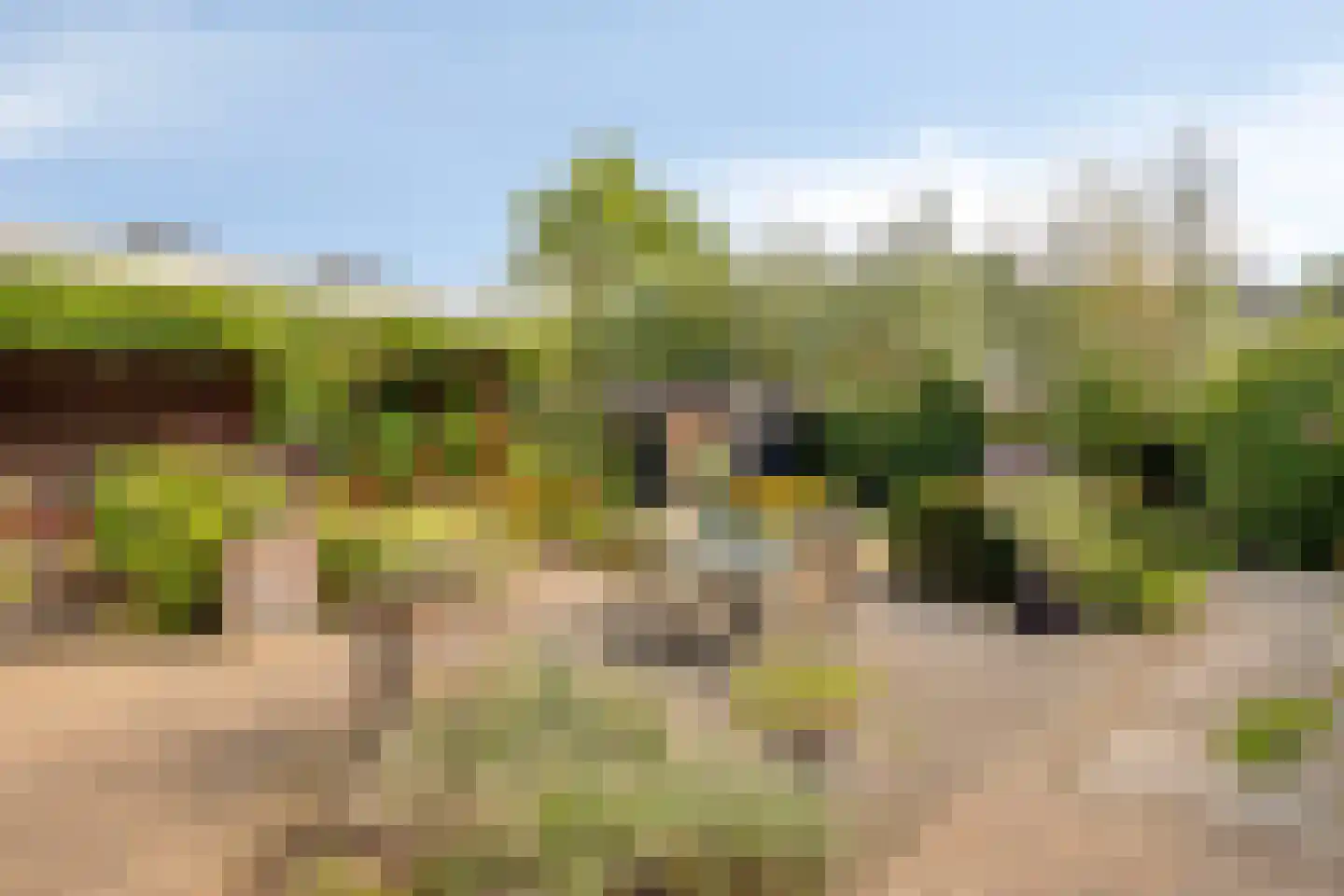 Seesinkbeeklaan 9 Terborg thumbnail 38