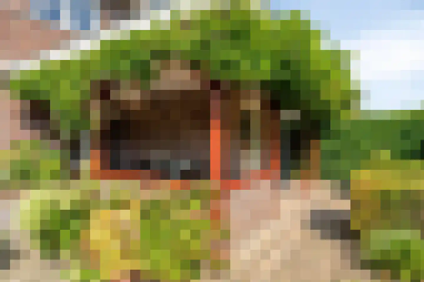 Seesinkbeeklaan 9 Terborg thumbnail 40