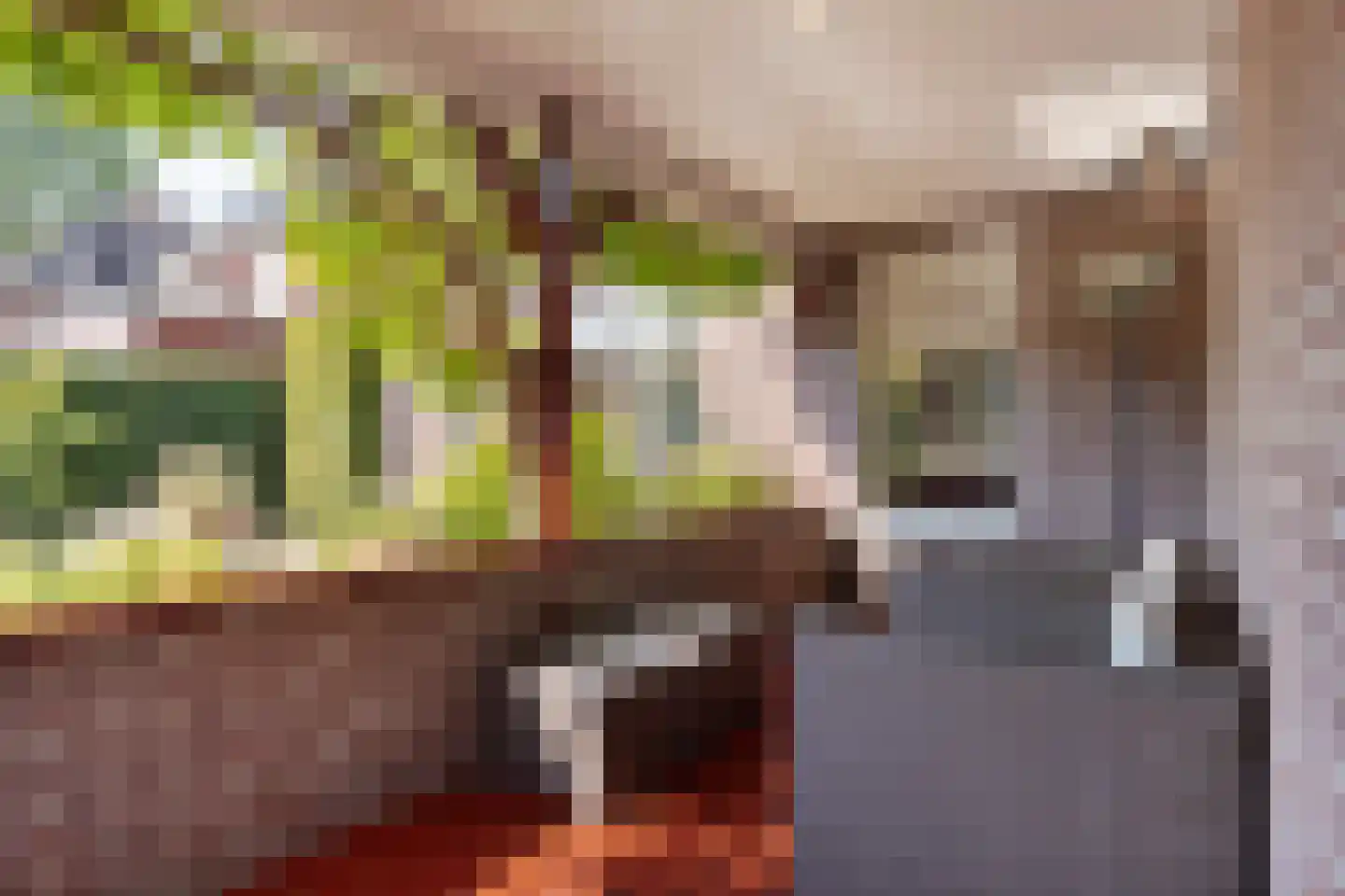 Seesinkbeeklaan 9 Terborg thumbnail 42