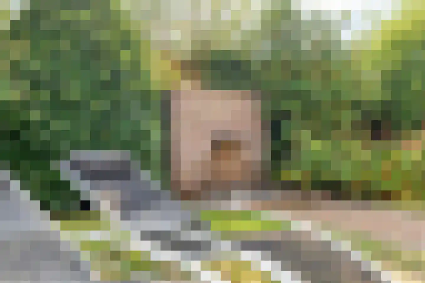 Seesinkbeeklaan 9 Terborg thumbnail 44
