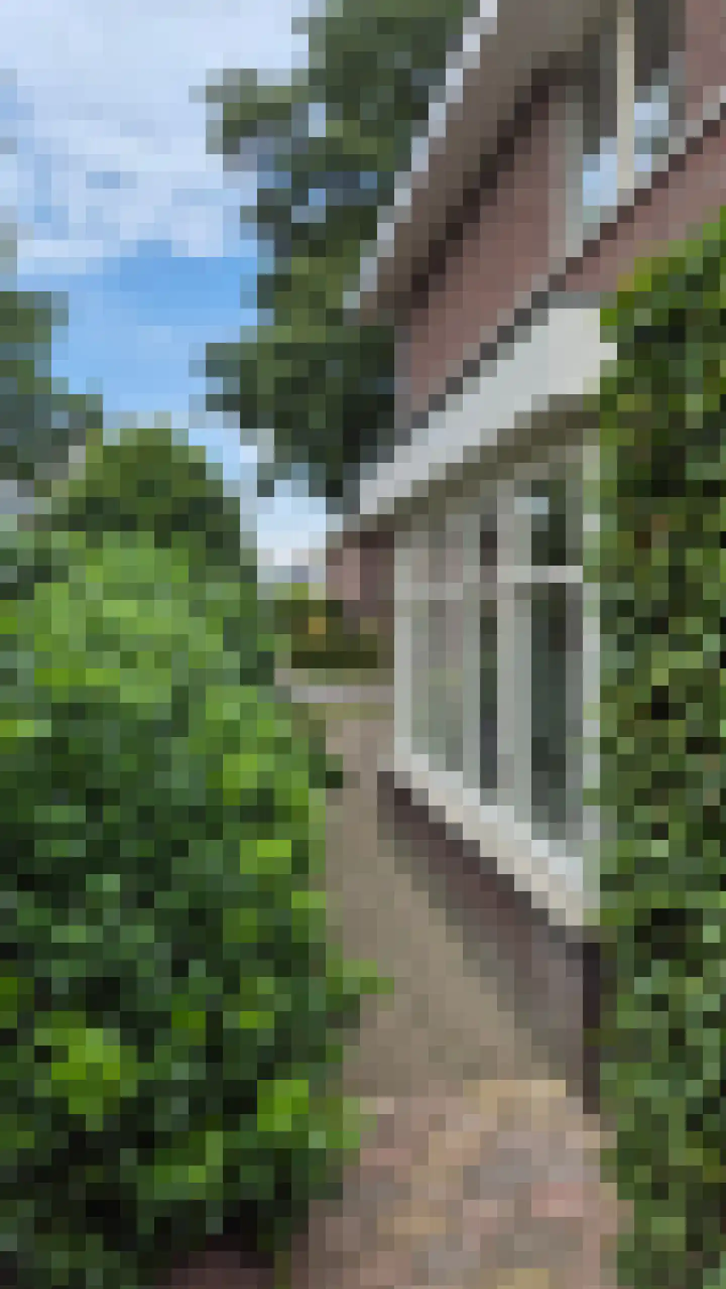 Seesinkbeeklaan 9 Terborg thumbnail 47