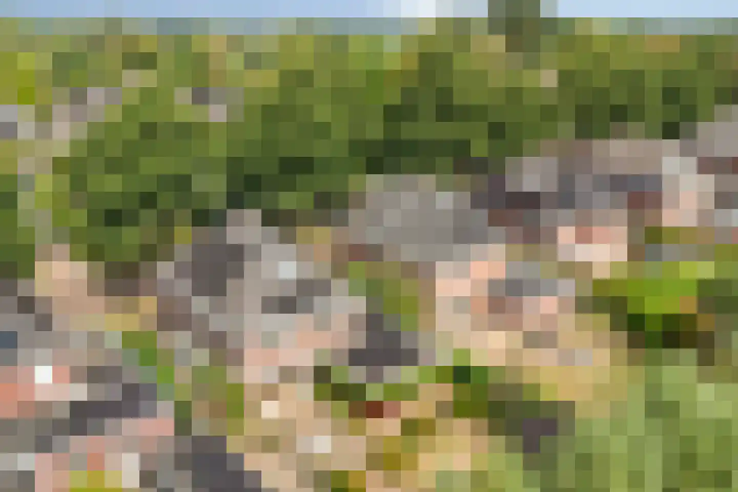 Seesinkbeeklaan 9 Terborg thumbnail 52